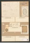 Cocconeis britannica Naeg. (de-Toni-Nr.: Genus 40, Species 1836) Zeichnungen Sammlung Grunow Nr. 3626 (NHMW-BOT-W0371231)